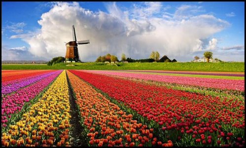 Холандия-вятърна мелница
